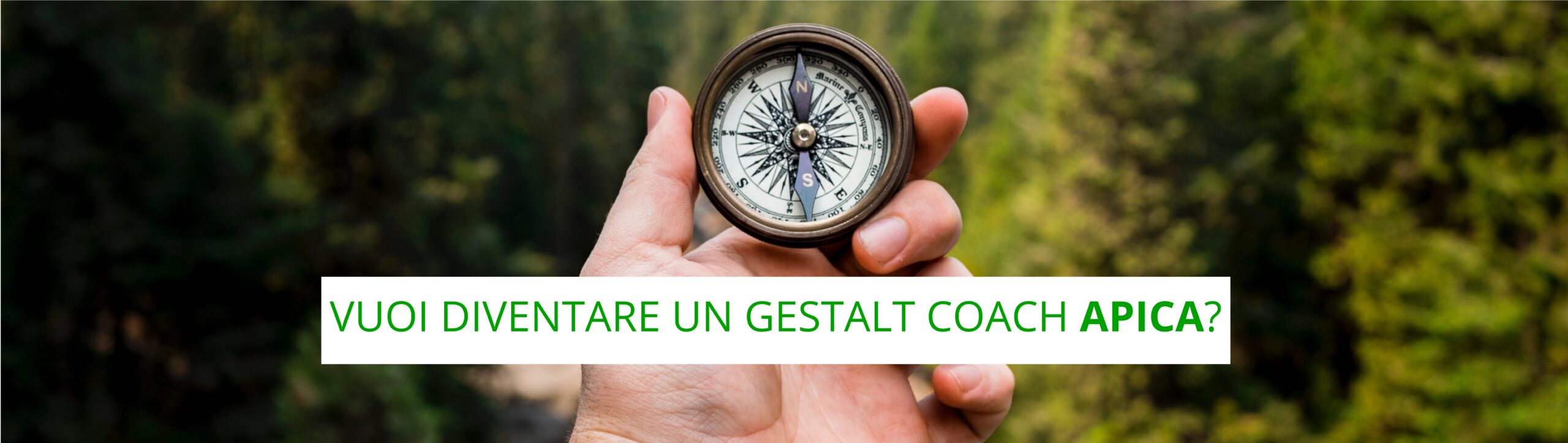 Apica – Gestalt Coach Apica