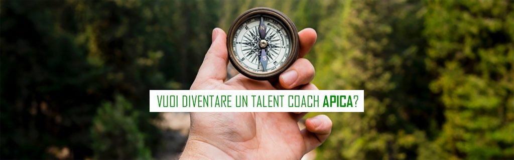 Apica – Talent Coach Apica – big